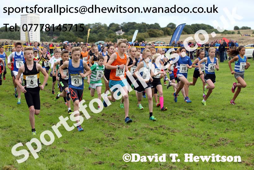 Under-13s Sunderland Harriers Open Cross Country. Photo: David T. Hewitson/Sports for All Pics